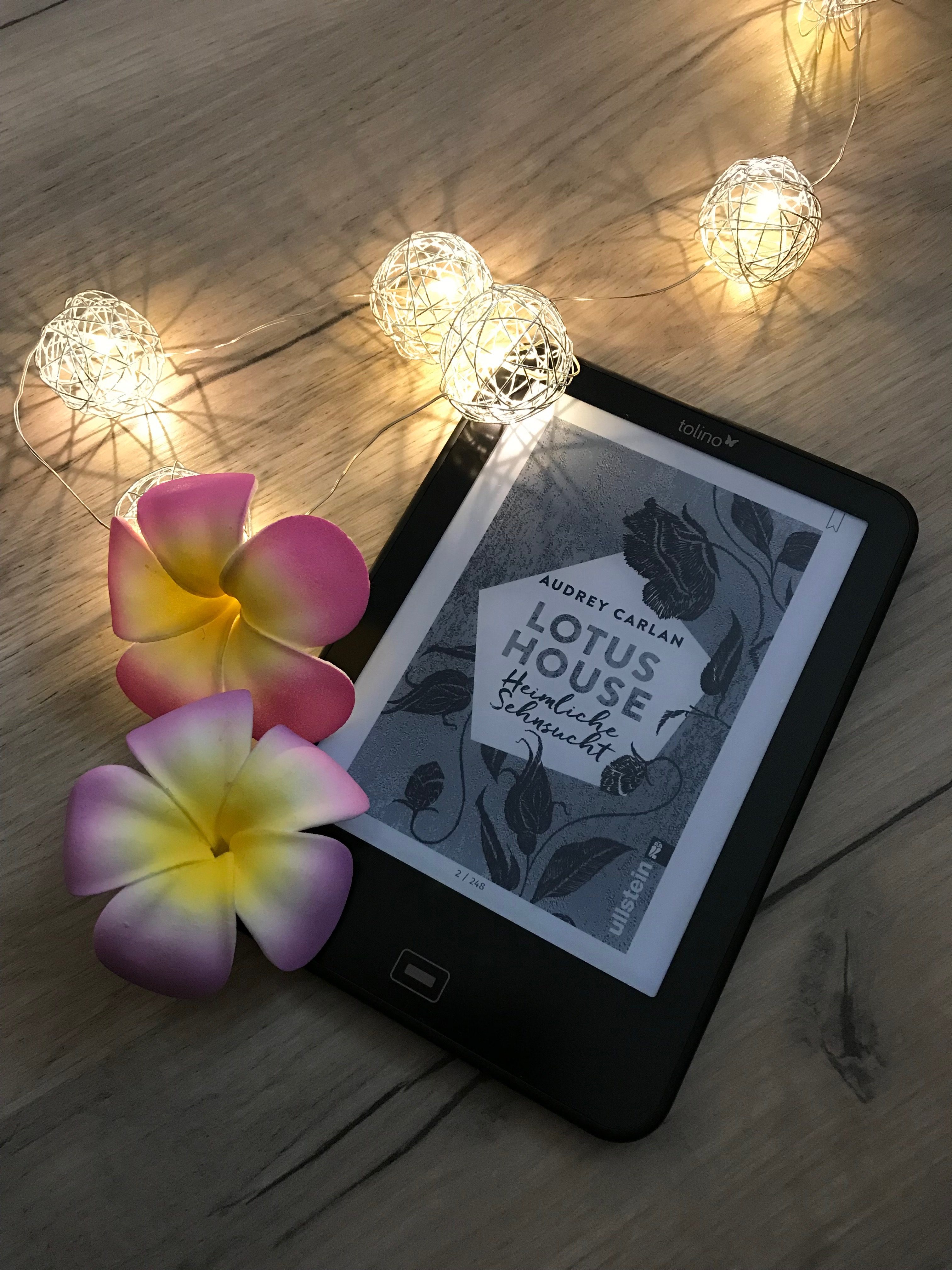 Rezension // Audrey Carlan – Lotus House – Heimliche Sehnsucht (Lotus House #6)