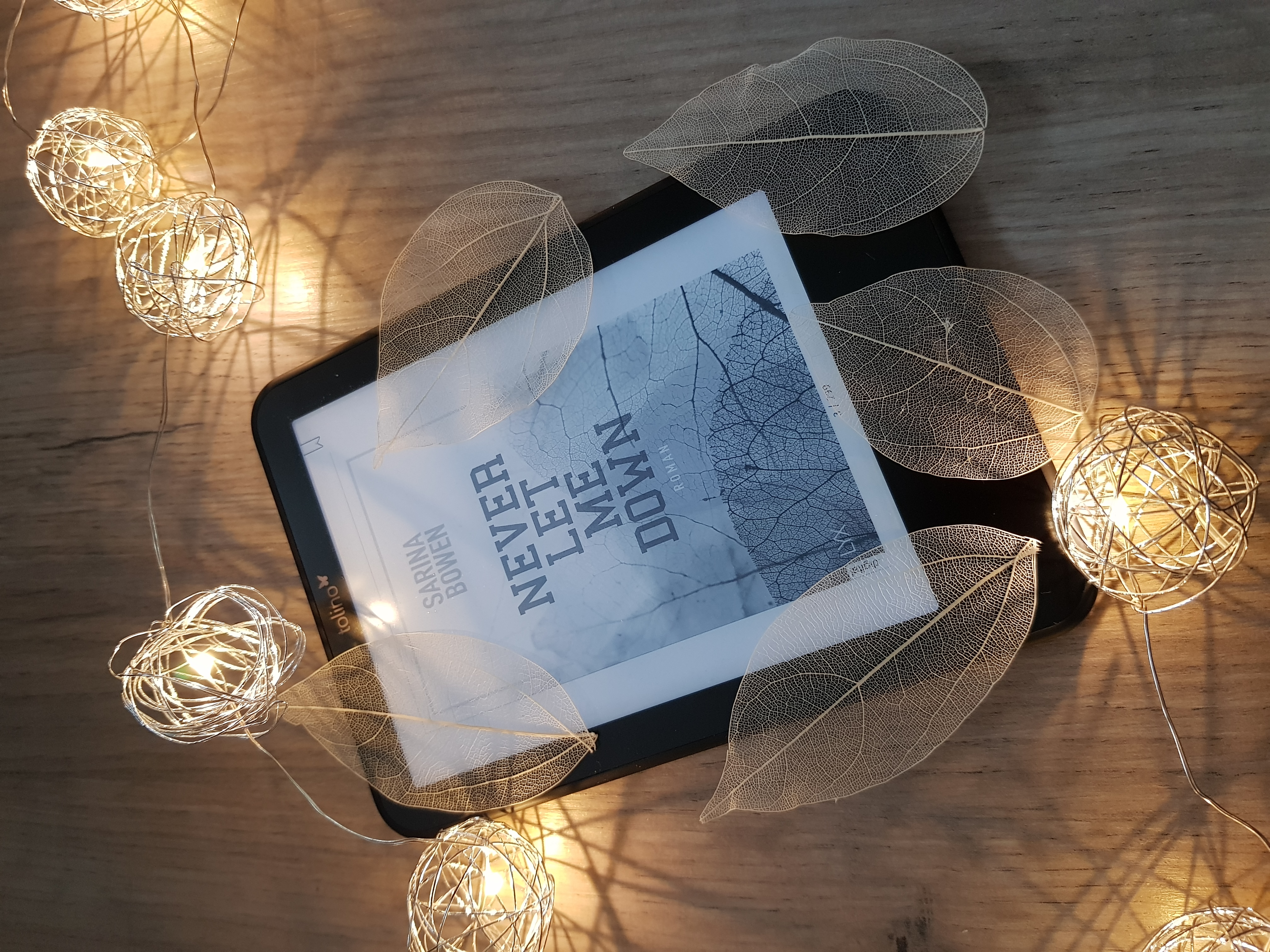 Rezension // Sarina Bowen – Never Let Me Down