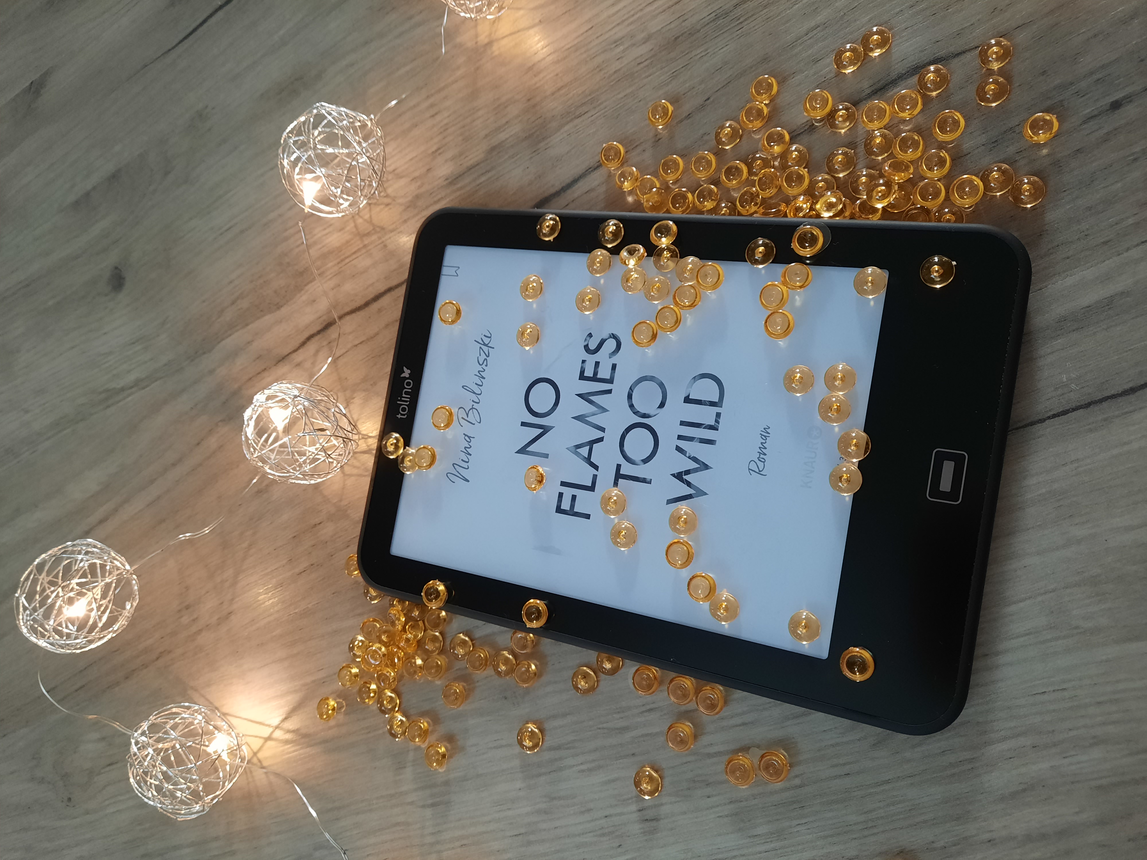 Rezension // Nina Bilinszki – No Flames too wild (Love Down Under #1)